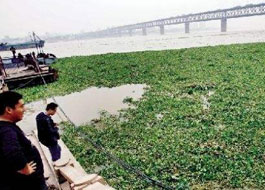 米兰体育app官网入口